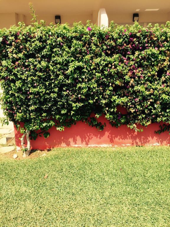 Playa Sol Apartment Denia Room photo
